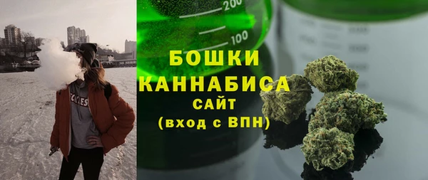 мдпв Пересвет