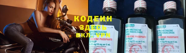 мдпв Пересвет