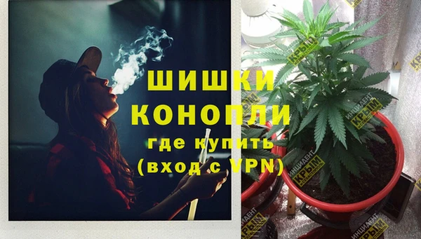 мдпв Пересвет