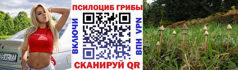продажа наркотиков мега ONION Галлюциногенные грибы ЛСД Абаза